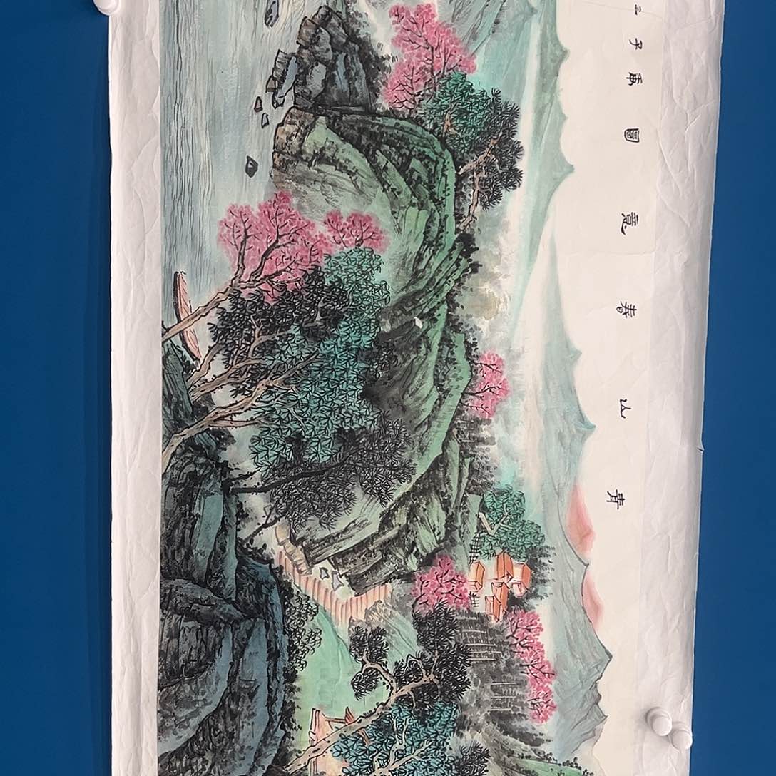 国画苏珊国画作品精品【证件视频资料】