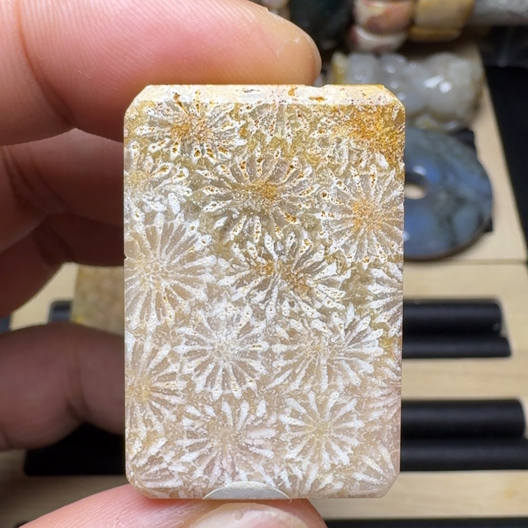 硅化玉未镶嵌纯天然色有机玉石保真色