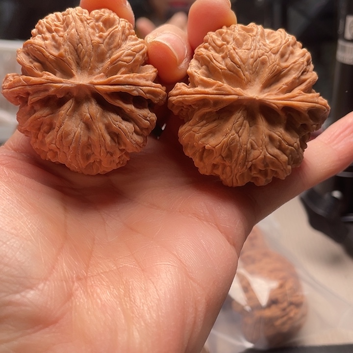 手串文玩核桃苹果88万亩玉米生产示范