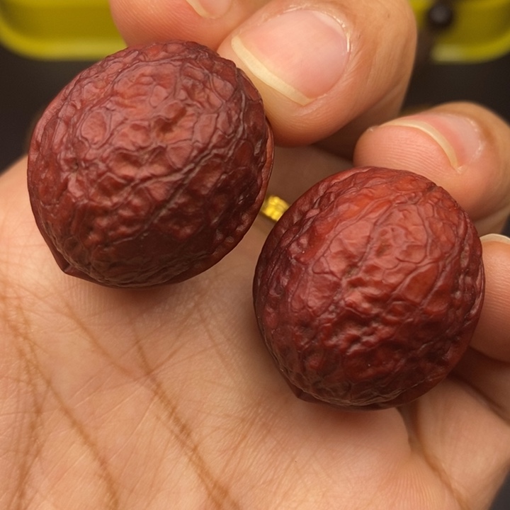 吊坠文玩核桃27尺鸽子蛋