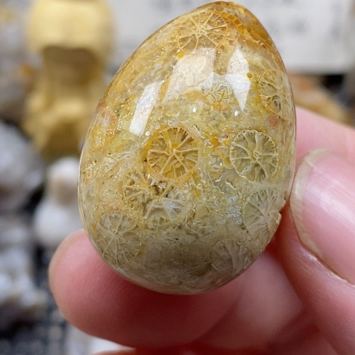 颈饰未镶嵌硅化珊瑚（珊瑚玉）有瑕