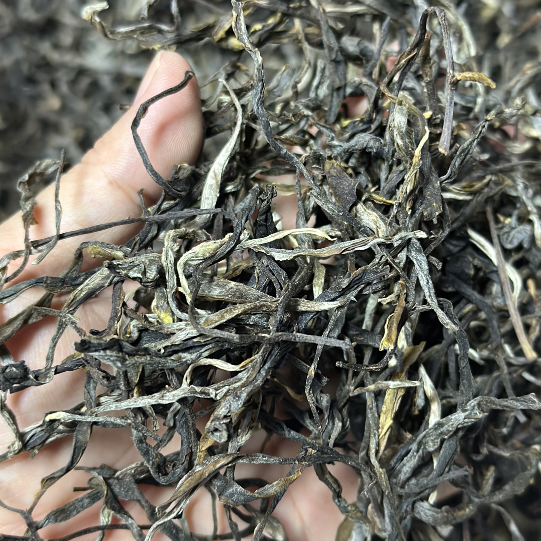 云南普洱茶易武散料生茶散茶回甘回甜快 2023年