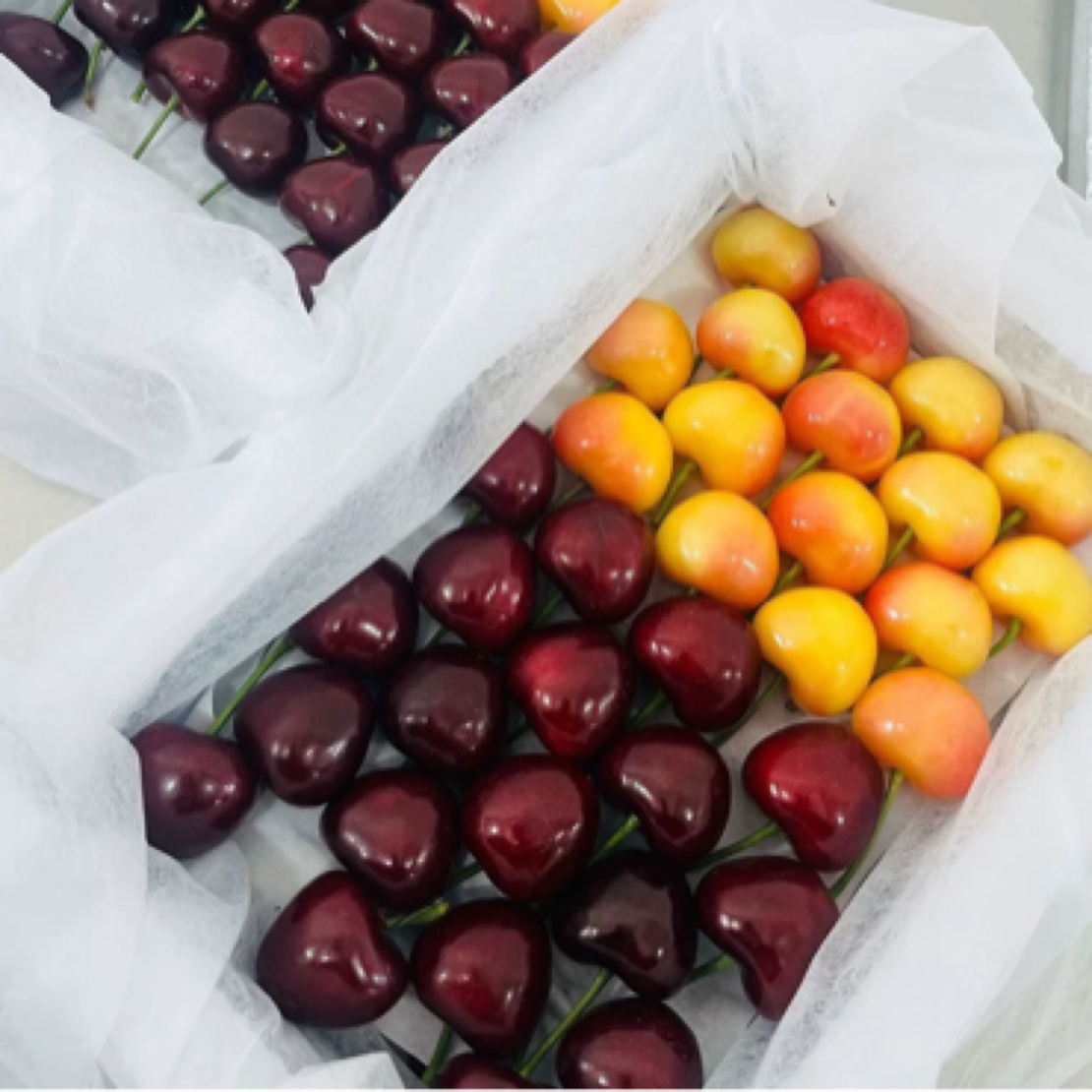 国产雷尼尔黄樱桃新鲜采摘纯甜无酸礼盒装4J6J雷尼尔2.4斤净重1.8雷尼尔美早
