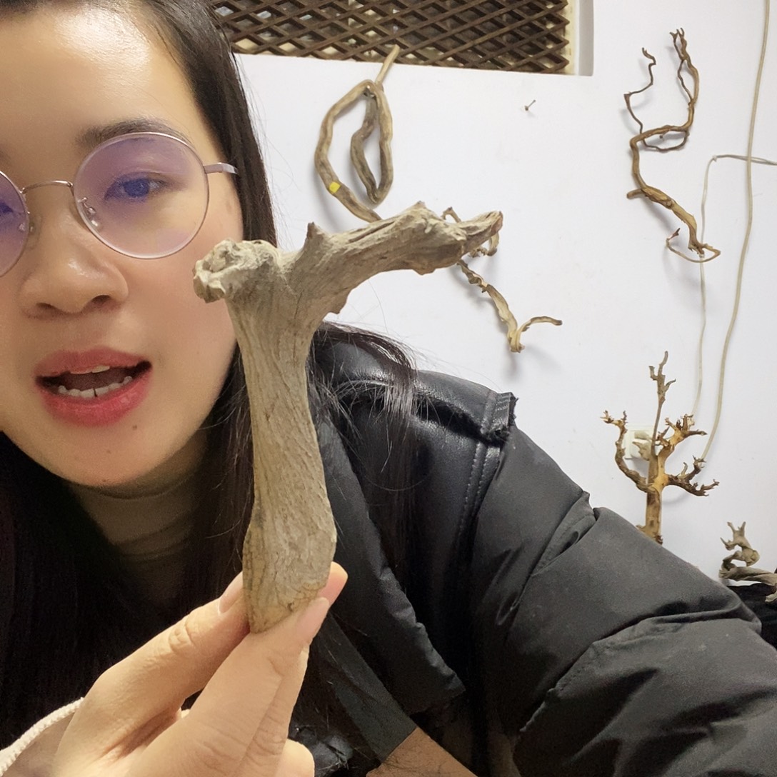 5***上香榧木今天晚上吃什么