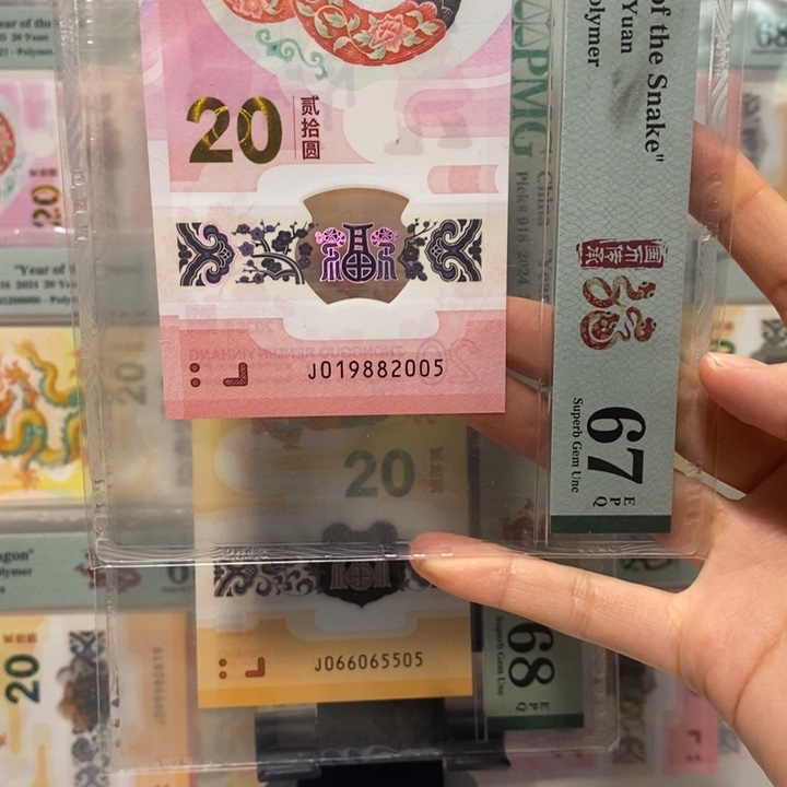 蛇钞双年份1988，2005