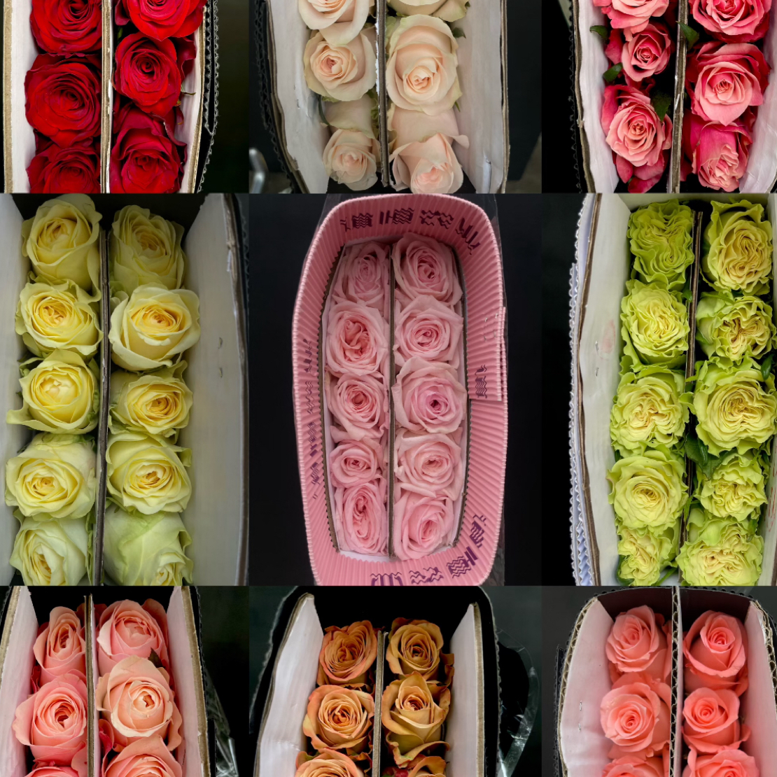 【50单内运费6元】云南鲜花花店用花玫瑰泡泡腊梅康乃馨洋桔梗草花