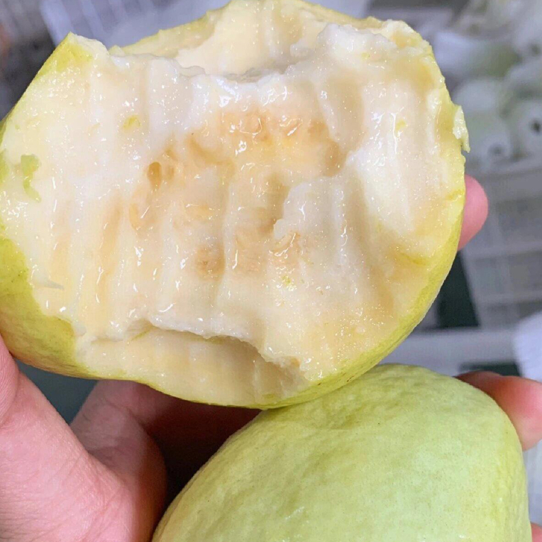 【小时达】奶油芭乐2个