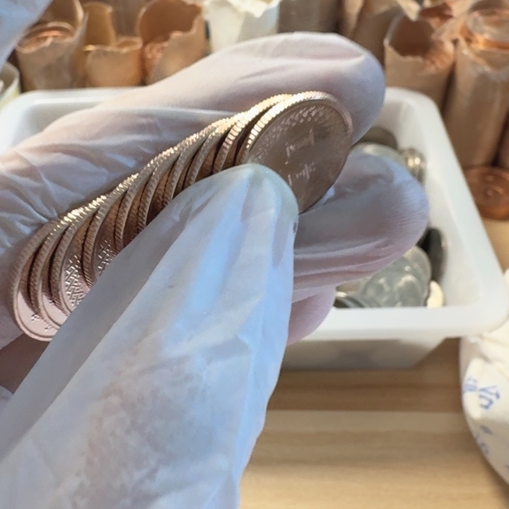 其他普通金属10枚，小1元币