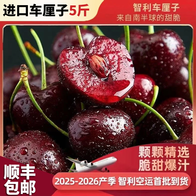 顺丰空运智利进口车厘子桑缇娜J-5J樱桃1.7-5斤礼盒装内附果径卡