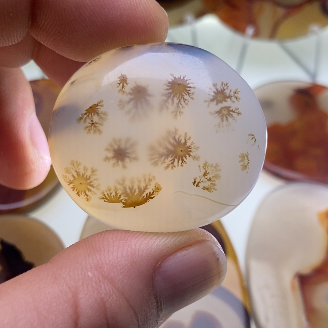 【闪购商品】玛瑙/玉髓颈饰未镶嵌