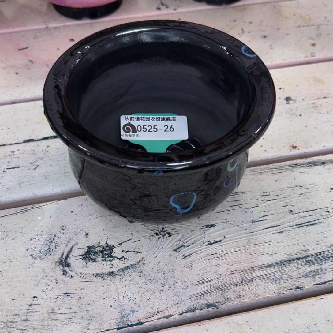 多肉一物一拍0525-26