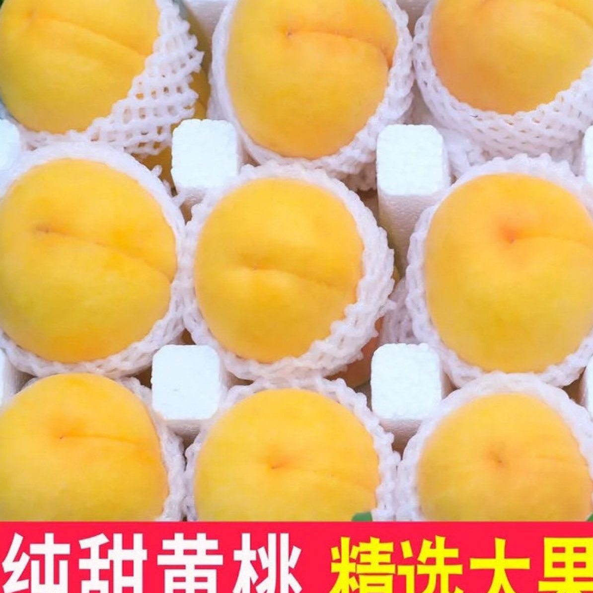 【正宗、蒙阴黄桃】锦绣大黄桃露天种植现摘现发脆甜爆汁新鲜
