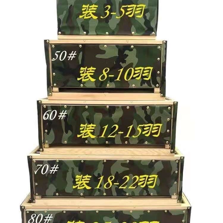 松木帆布材质鸽子训放笼实用信鸽用具