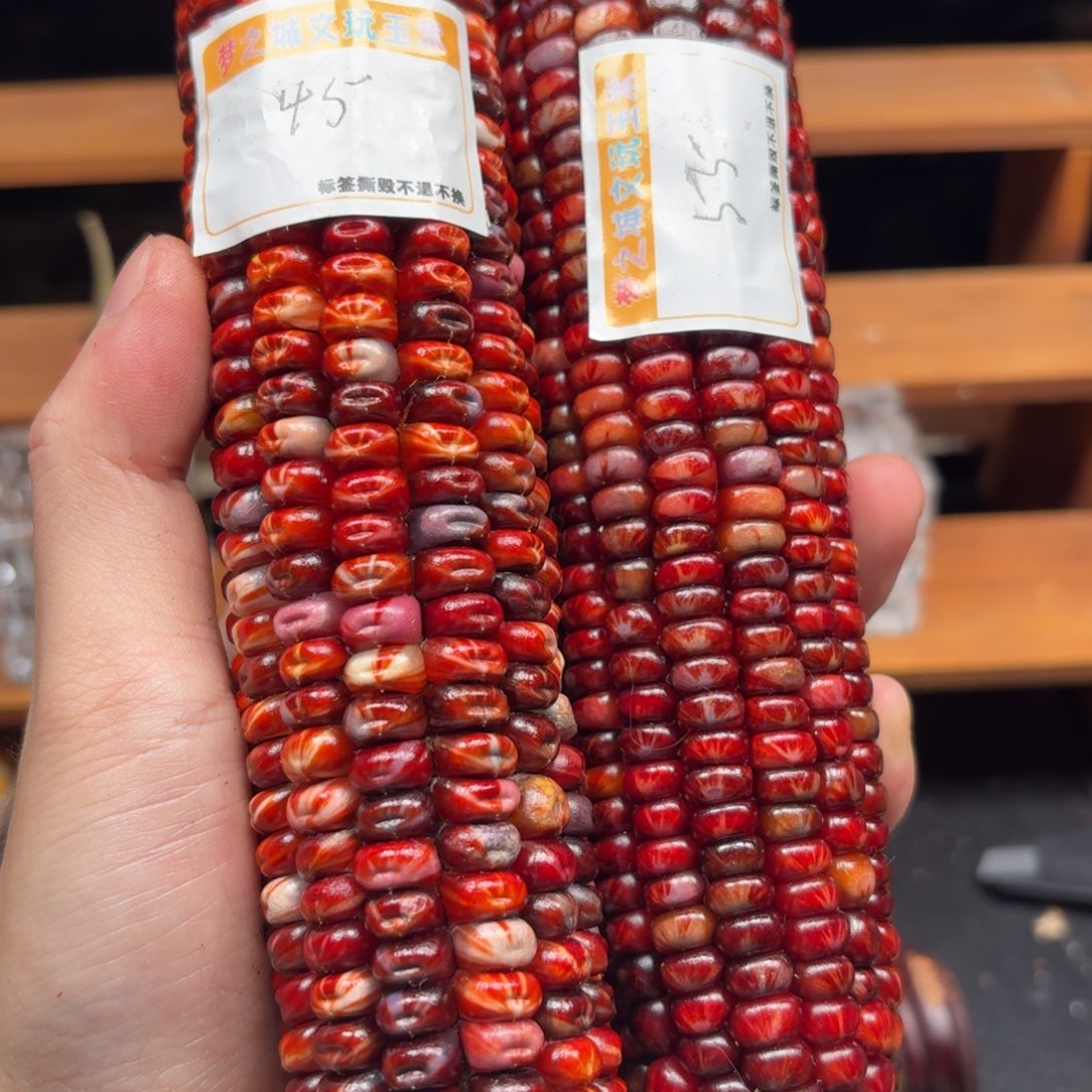 *****七彩宝石文玩玉米