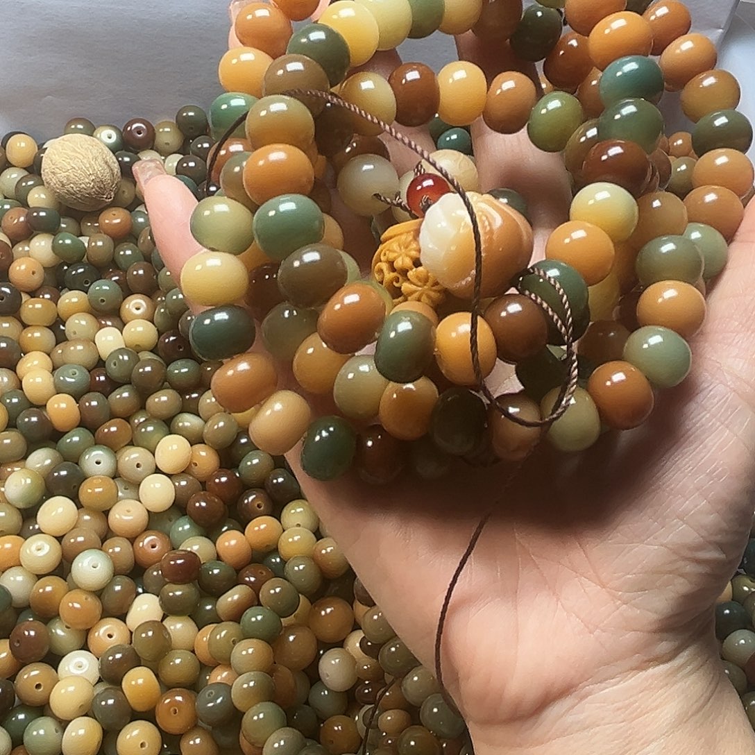 吊坠菩提根/象牙果