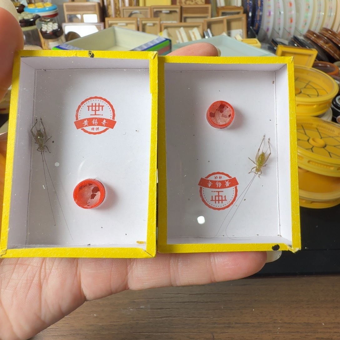 用****22大黄龄一个吉尔