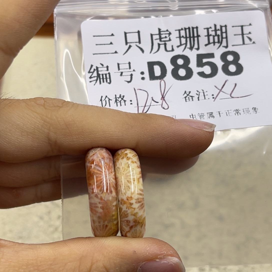 椰***韵硅化珊瑚（珊瑚玉）未镶嵌h