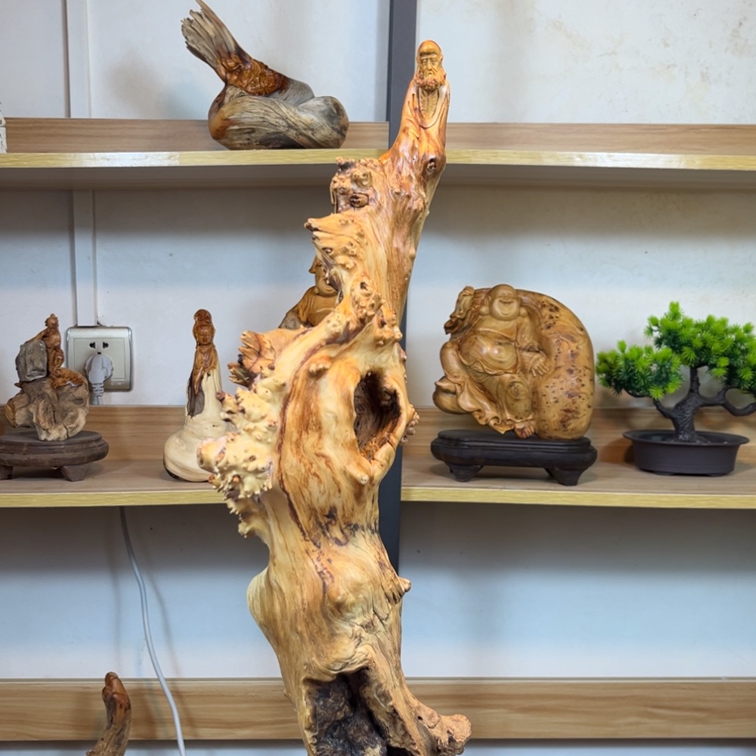 柏木（崖柏）vh j g g h h j j j