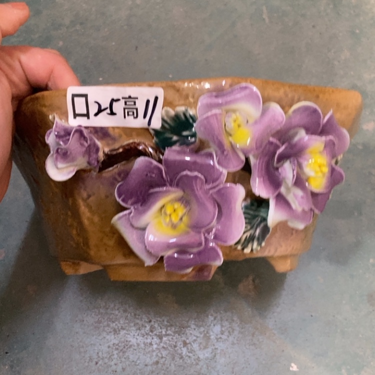 【闪购商品】福利福利福利福利