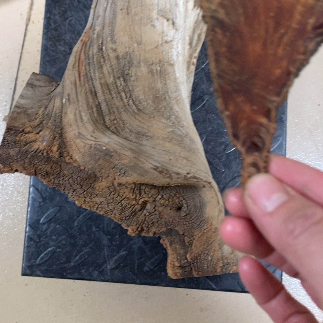 柏木土*我们都是好孩子