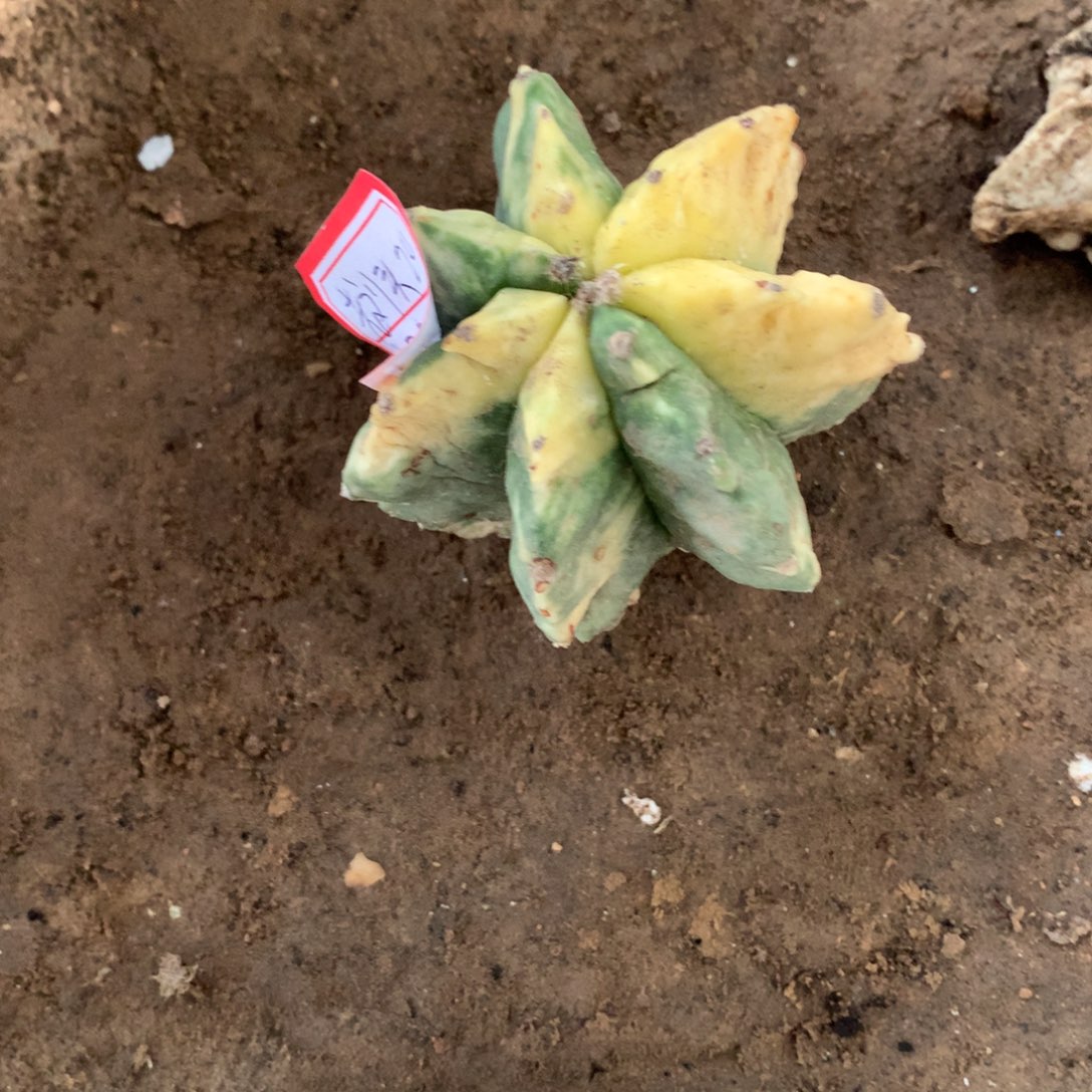 老***ᴬ1棵搜美美美美美美