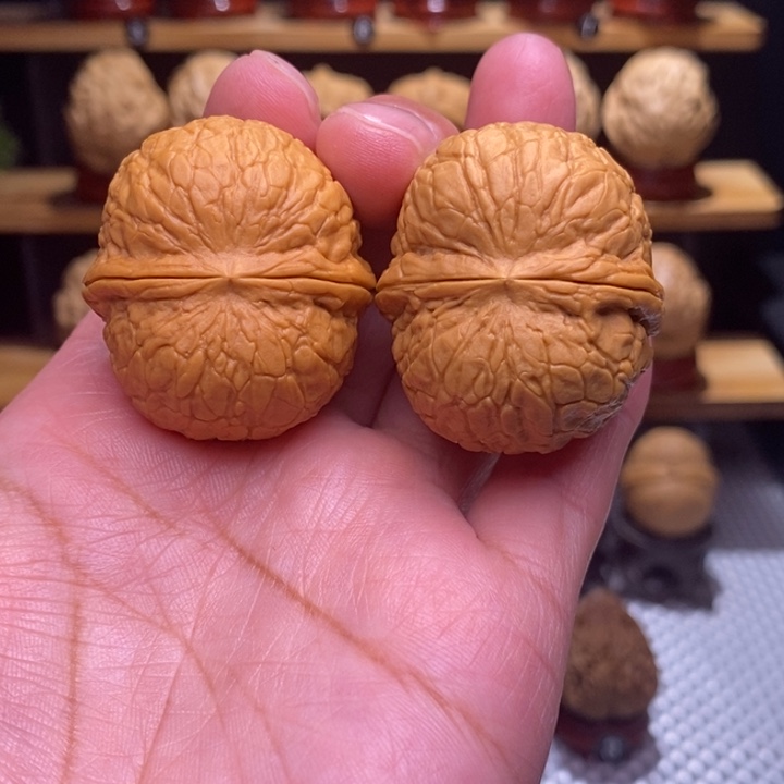 木质类云铁寿星元宝14号