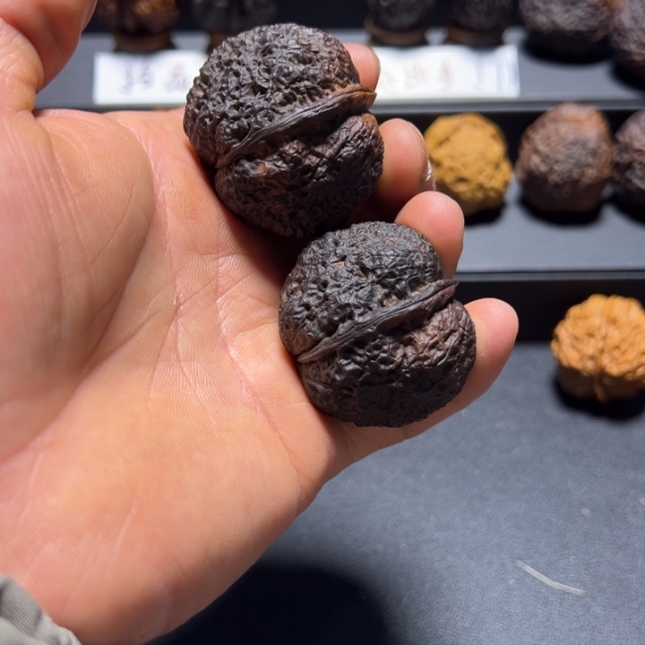 把件文玩核桃B龙脊蝴蝶蟾42mm