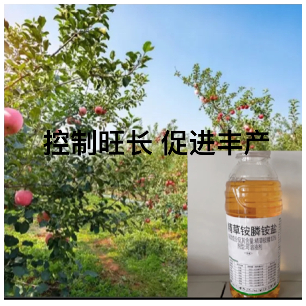 叶面肥保丰收精草（一瓶1kg）
