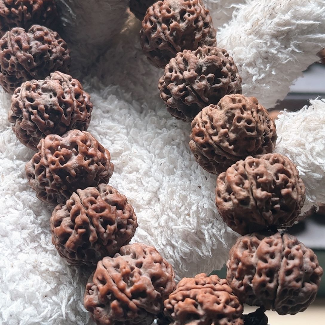 金刚菩提手串万*青23红褐皮老籽