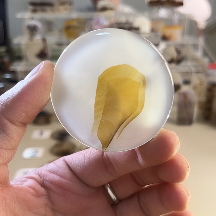 玛瑙/玉髓吊坠(不含链)未镶嵌