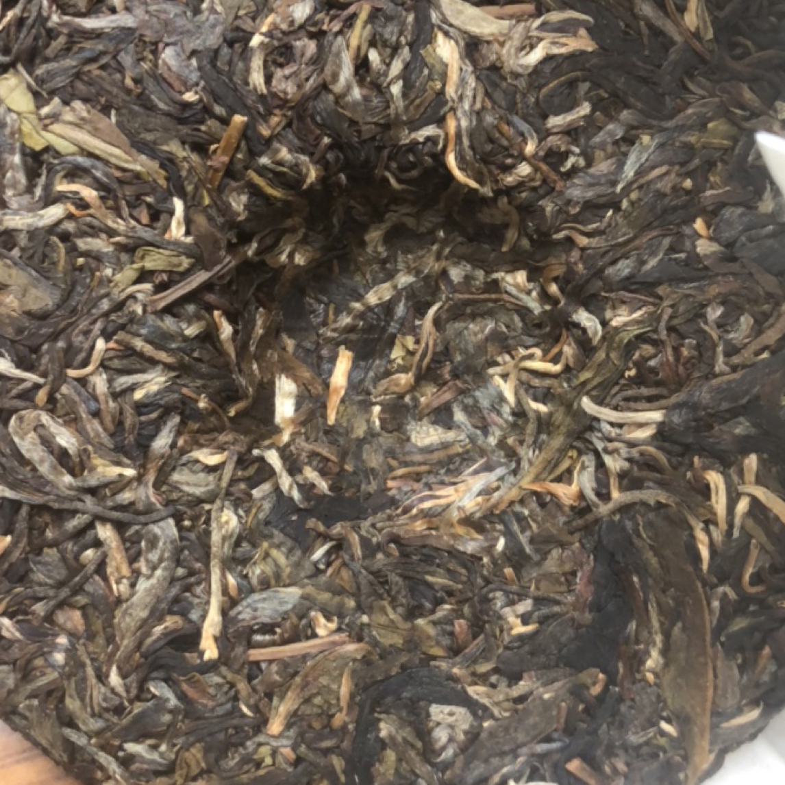  落水洞一饼生茶【通链接】百年茶香2019年选自深山古树茶 传统手工