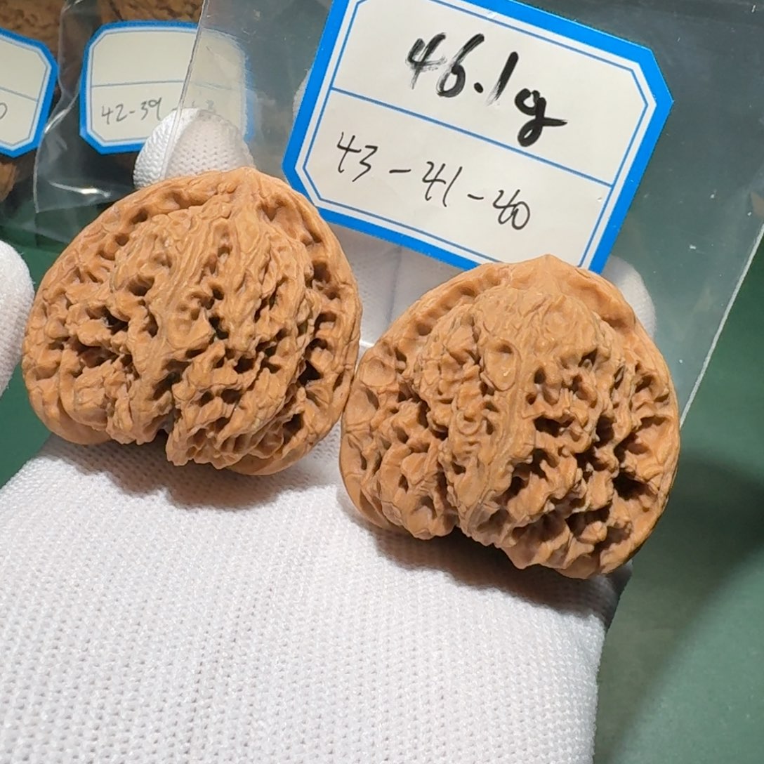 吊坠文玩核桃48号龟