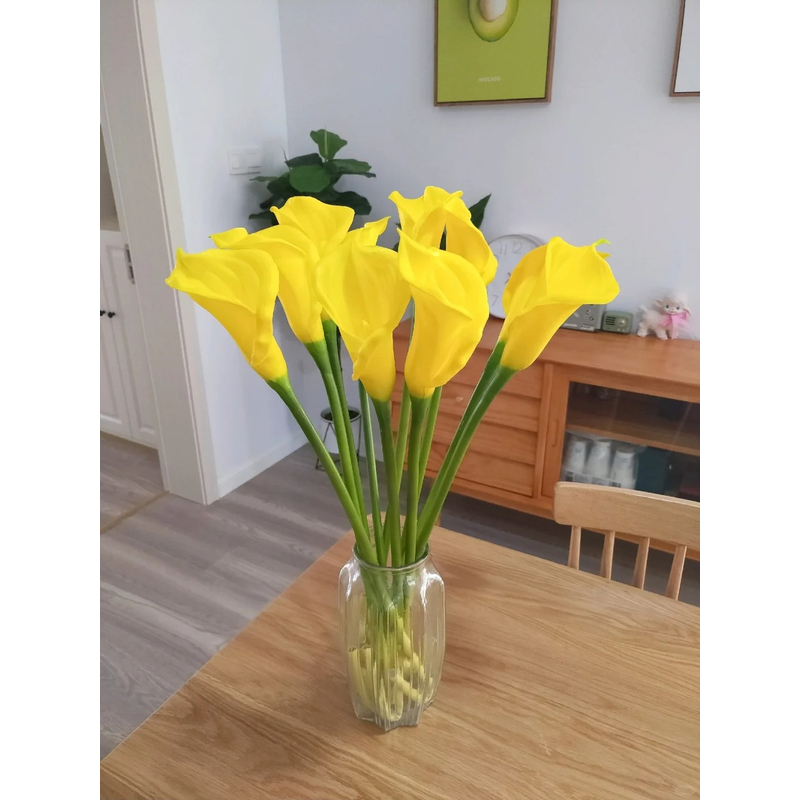 【马蹄莲】 一单包邮 云南鲜花昆明基地现采现发