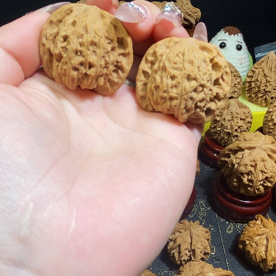 核桃全品无修平顶福利看好拍不退不