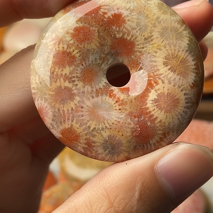 南***落硅化玉未镶嵌颈饰