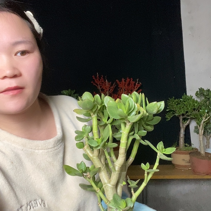 爬***虎老桩玉树一物一拍