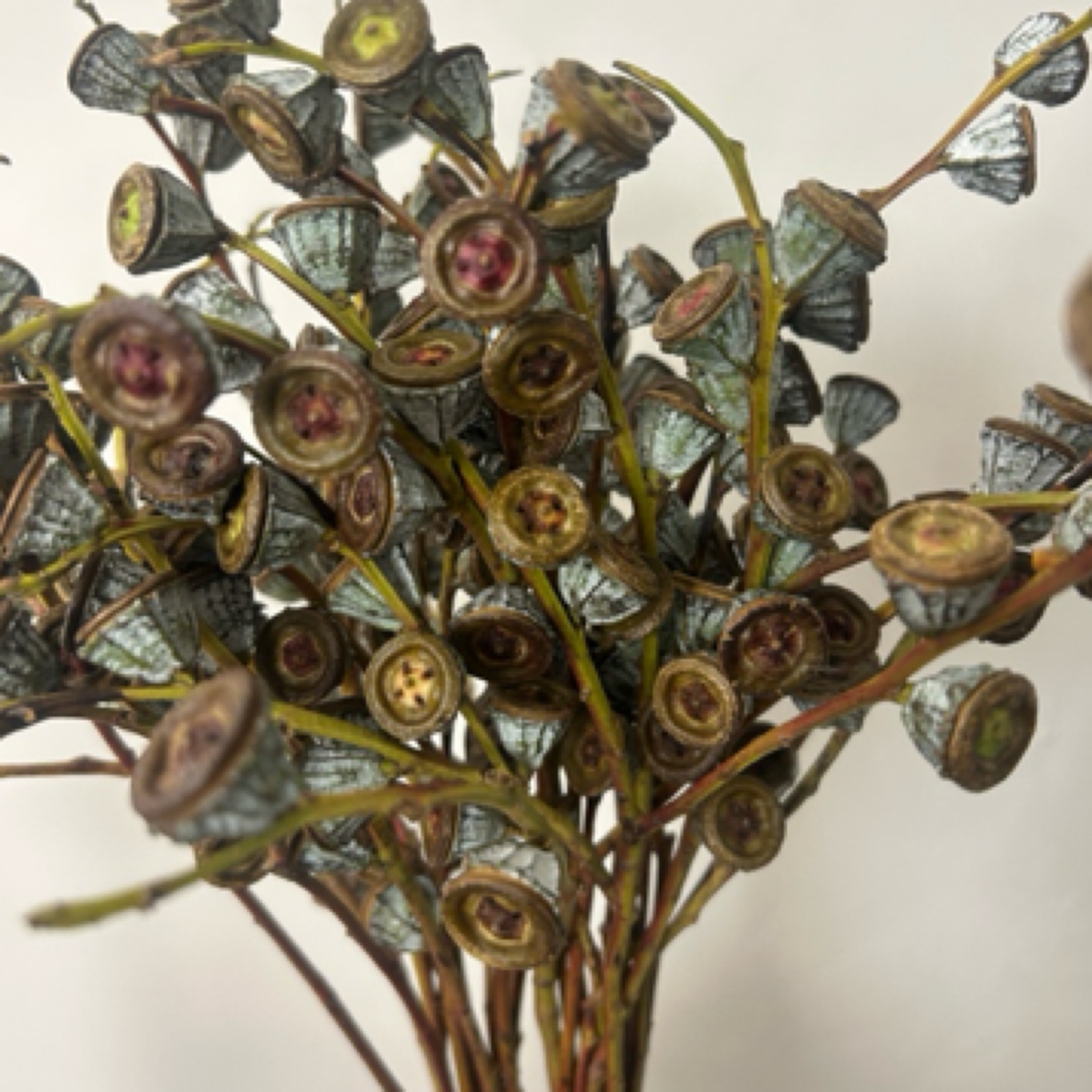 [尤加利新果]一把50-60个果子。尤加利果信封花束干花干花花束