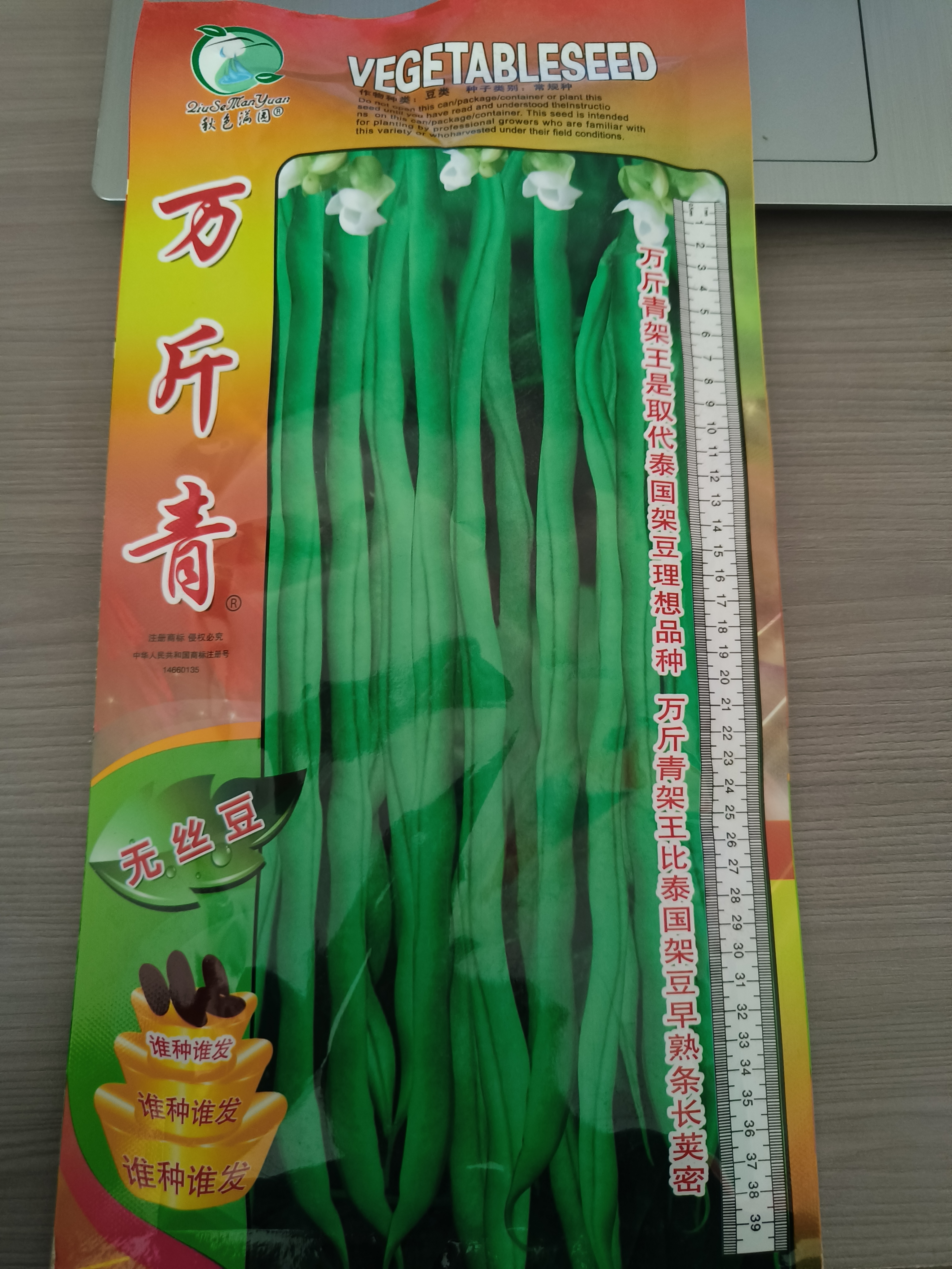 无丝豆、白不老豆角，产量高无筋无丝，夹长肉厚