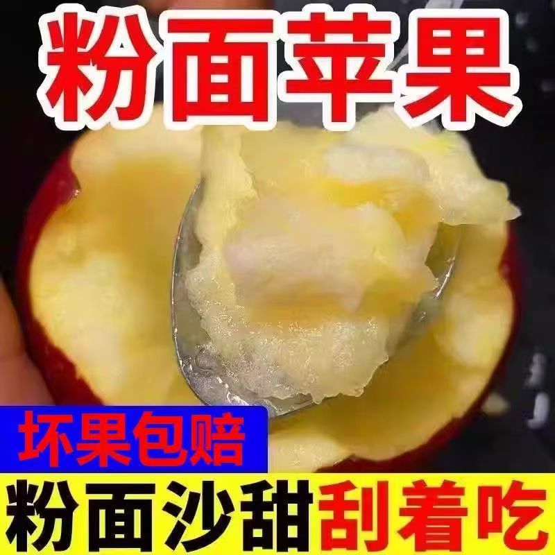 秦冠粉面苹果红香蕉粉面平果宝宝辅食非脆甜红富士冰糖心丑红星
