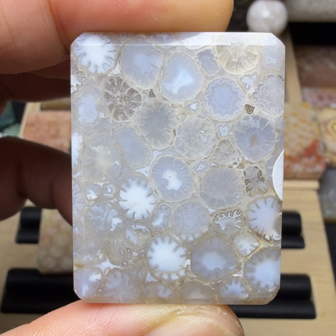 硅化玉未镶嵌纯天然色有机玉石保真色