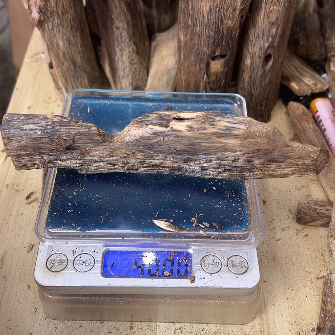 香料绿奇楠虫漏40克乌身