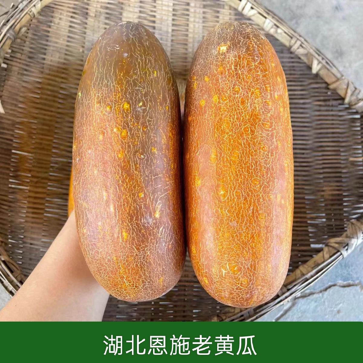 恩施本地老黄瓜农家自种黄瓜
