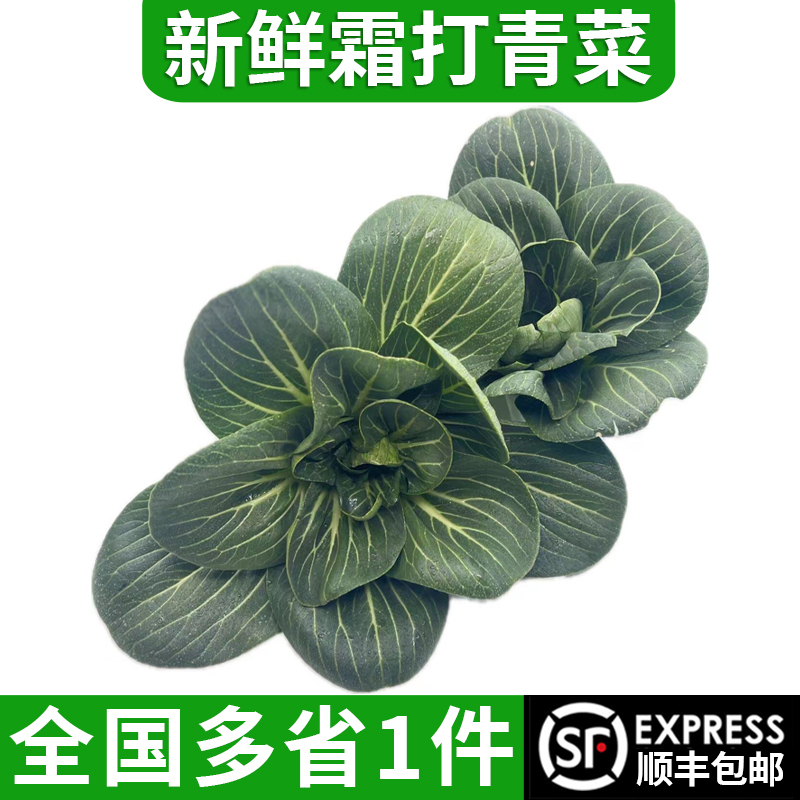 绿食者新鲜霜打青菜农家自种矮脚软糯香甜 全国多省顺丰包邮