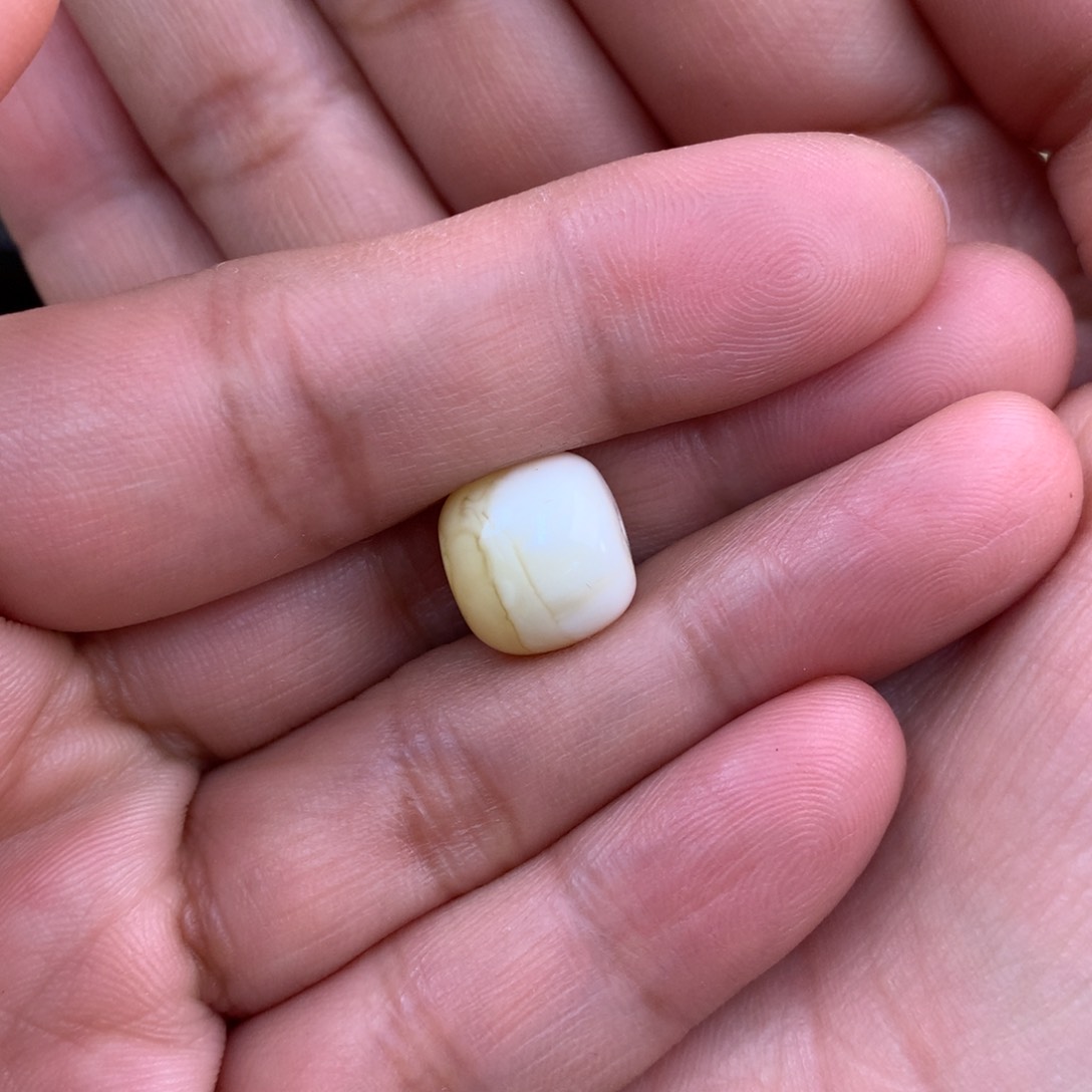 未镶嵌琥珀裸石团**族蜜蜡