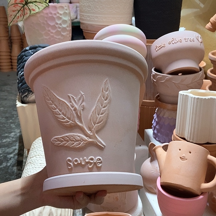 20×19雾化香草+托1个