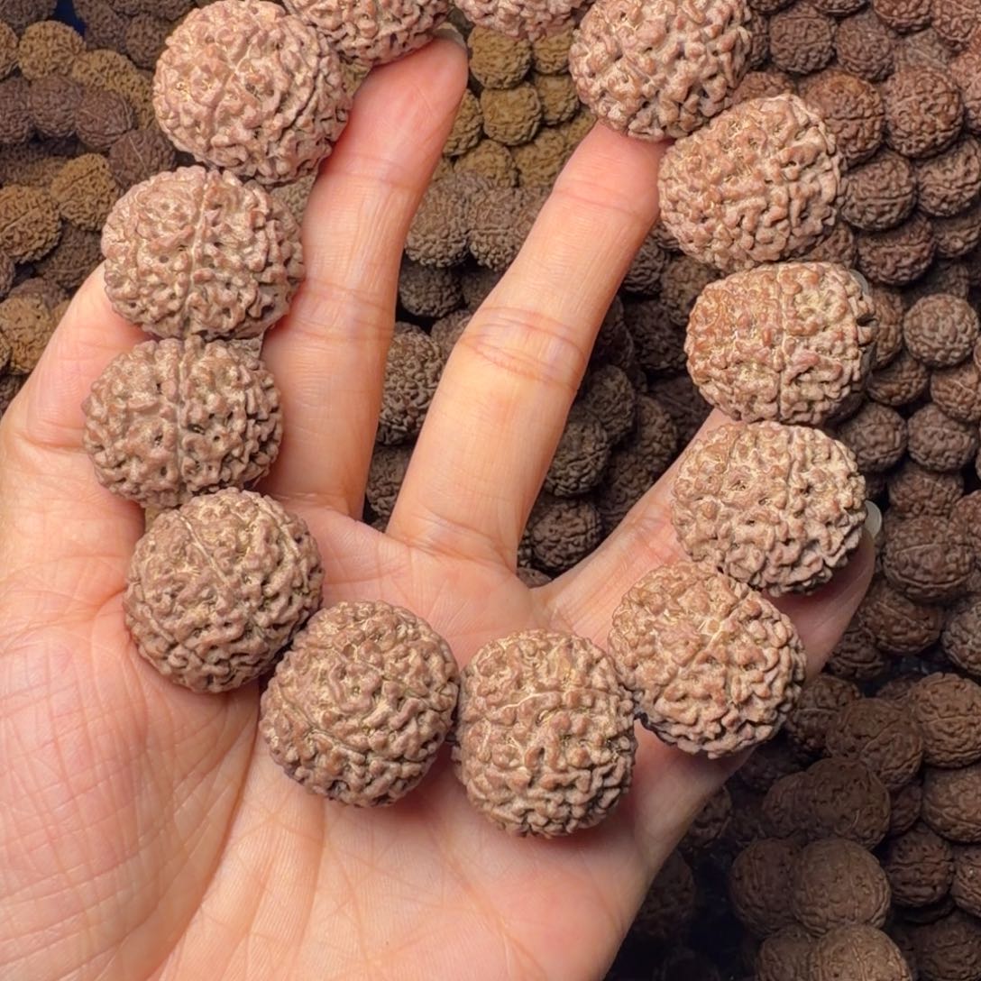 金刚菩提手串8瓣卡24尺，25号
