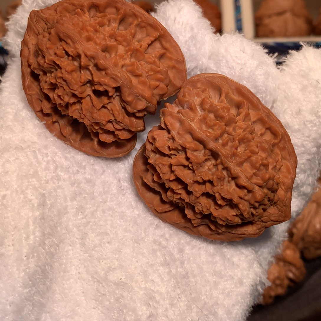 文玩核桃把件41全品 老树无药满天星