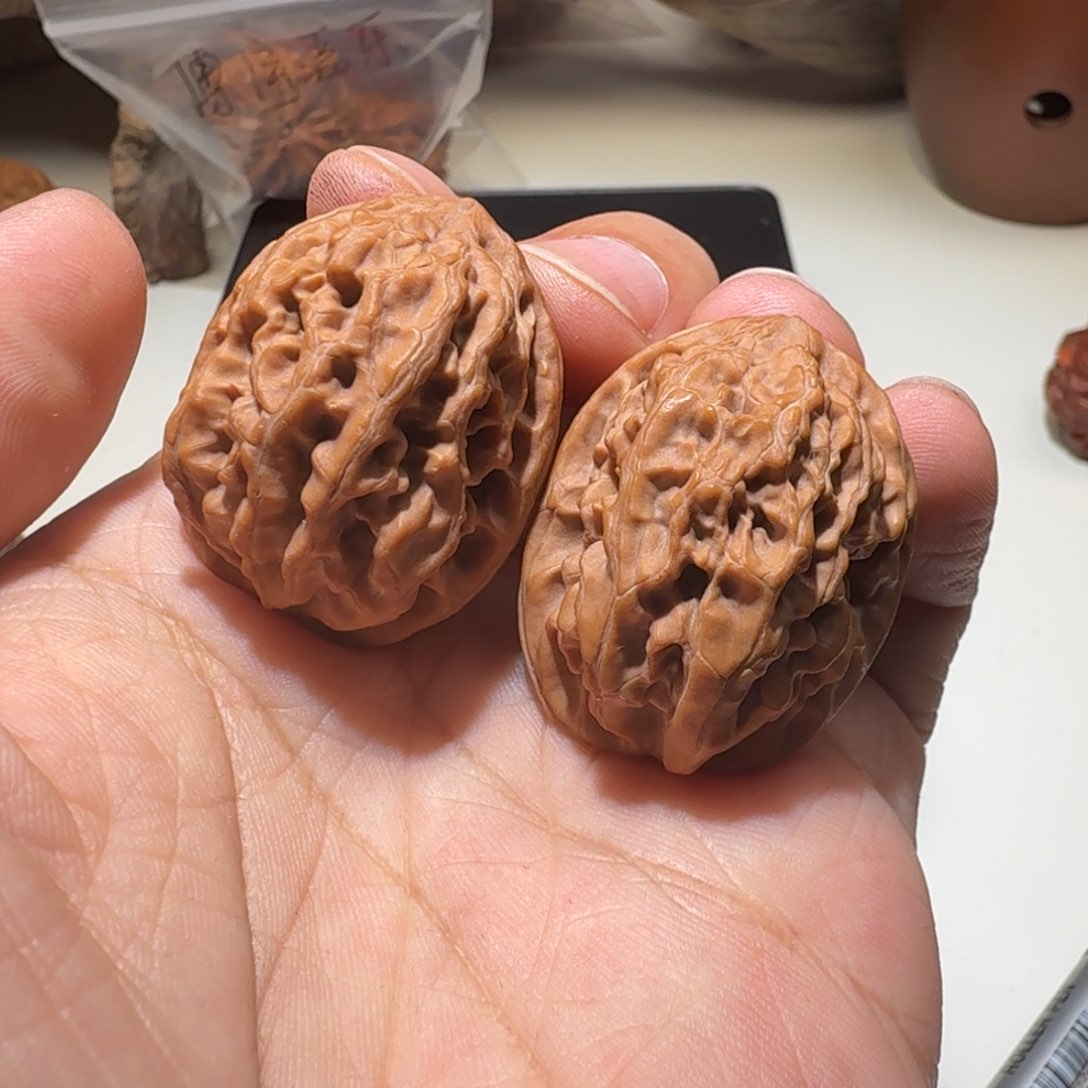 文玩核桃把件原树财源滚滚