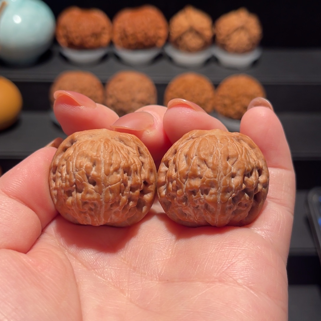 野生，莲花31精品，全品482