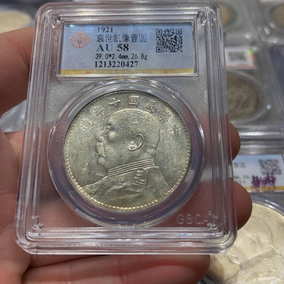 银四****柳皖韵十年大头银币一枚